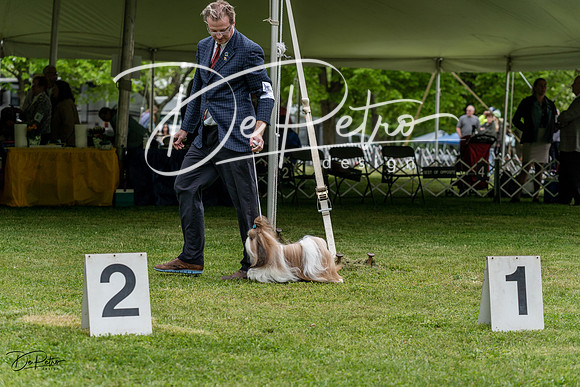 20230427-DSC04219