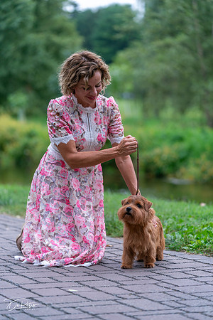 20260912-DSC03305