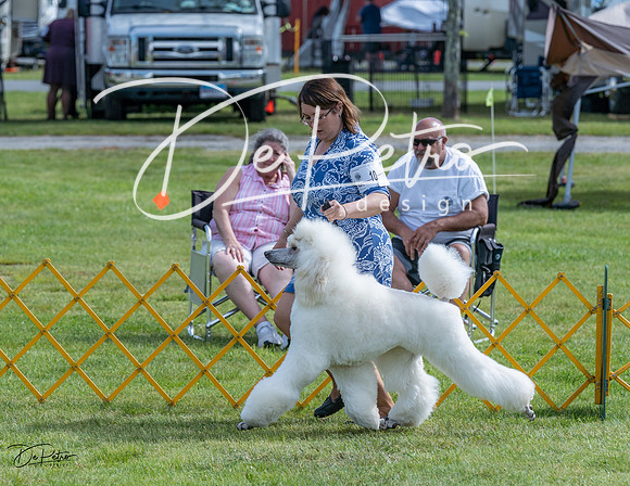 20230513-DSC00307