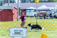 20230512-DSC05372