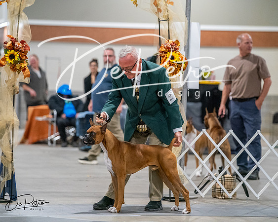 20261022-DSC02834