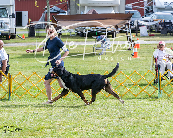 20230513-DSC00515