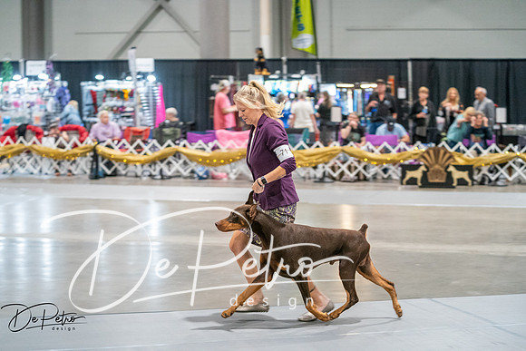 20260926-DSC04338