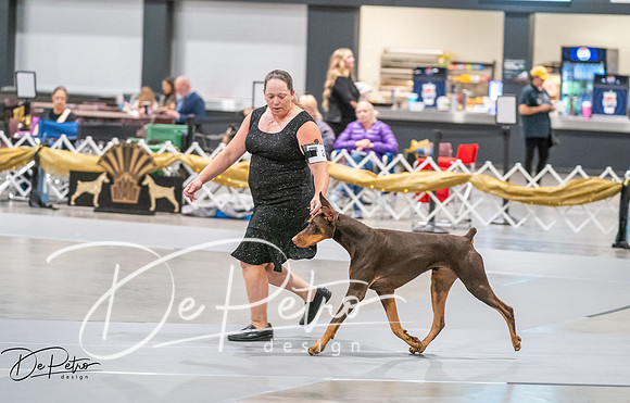 20260926-DSC04110