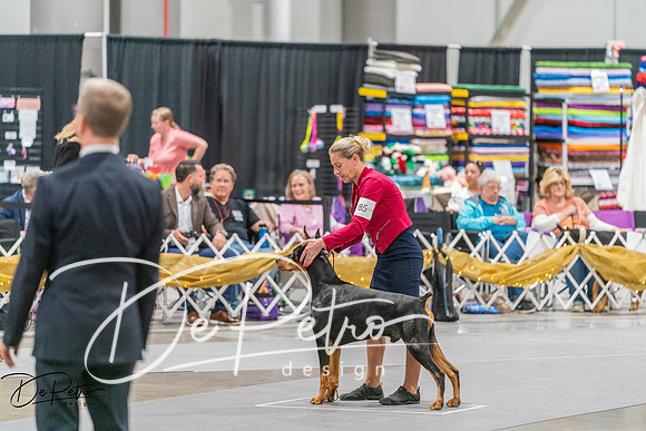 20260927-DSC05420