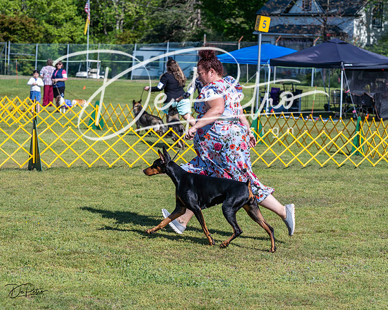 20230514-DSC02686