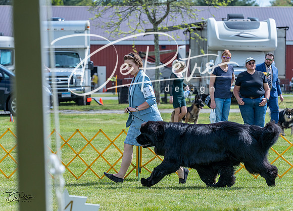 20230512-DSC05179
