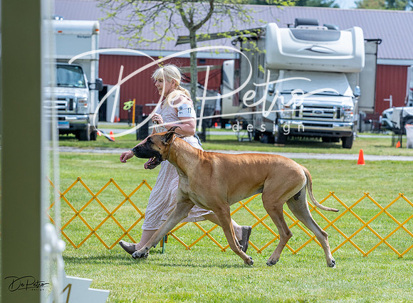 20230512-DSC04844