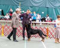 20261017-DSC08500