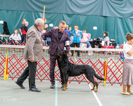 20261017-DSC08500