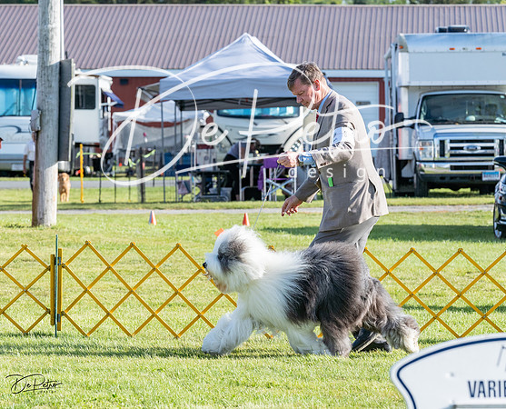 20230513-DSC02466