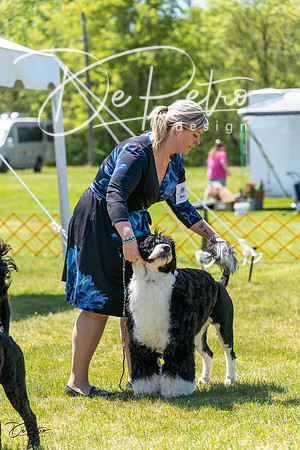 20230514-DSC08556