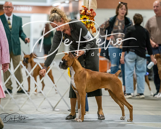 20261022-DSC02782