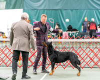 20261017-DSC08381