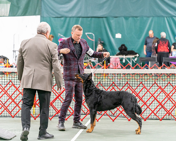 20261017-DSC08381