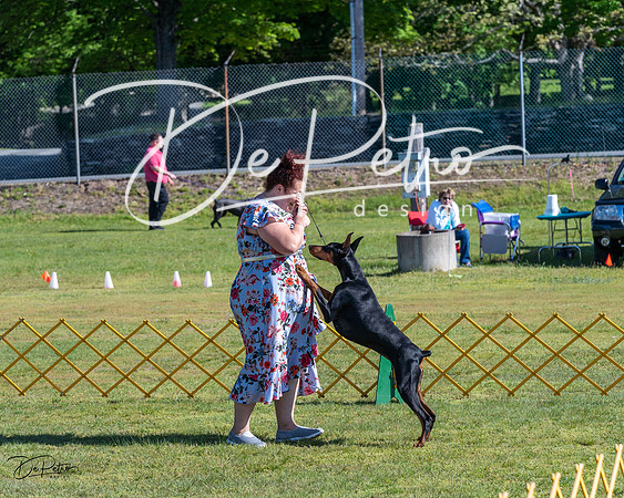 20230514-DSC02604
