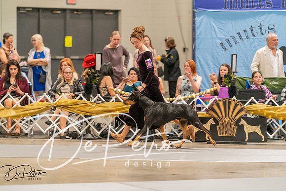 20260928-DSC06261