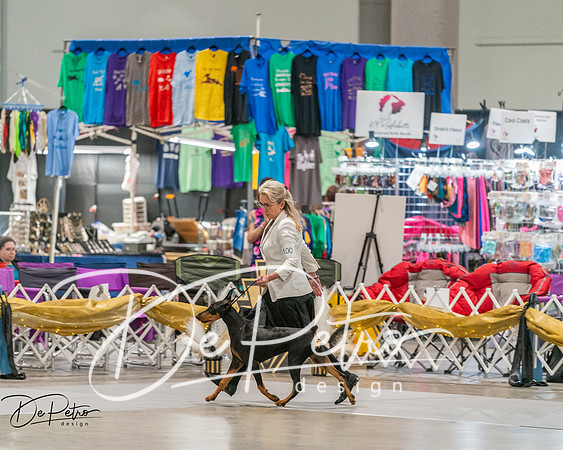20260927-DSC05185
