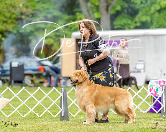 20230427-DSC03943