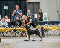 20260926-DSC03841