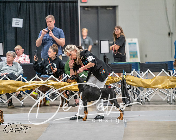 20260926-DSC03841