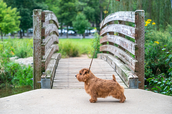 20260912-DSC02950
