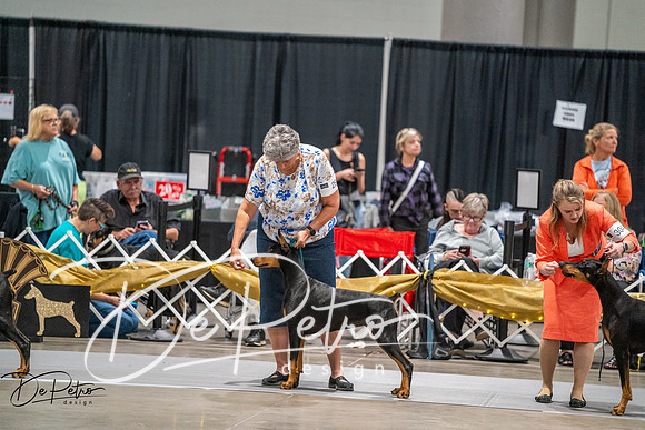 20260926-DSC04570