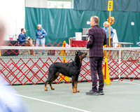 20261017-DSC08453