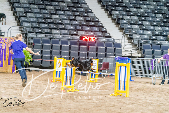 20260929-DSC06419