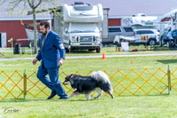 20230512-DSC05419