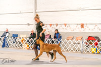 20261024-DSC08338