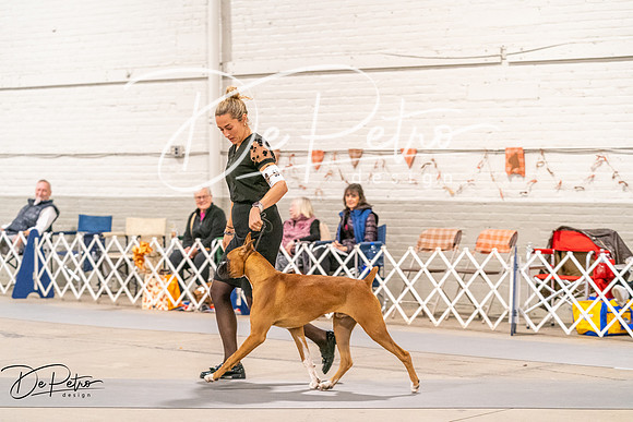 20261024-DSC08338