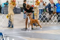 20261022-DSC00028