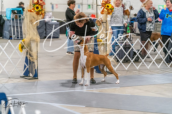 20261022-DSC00028