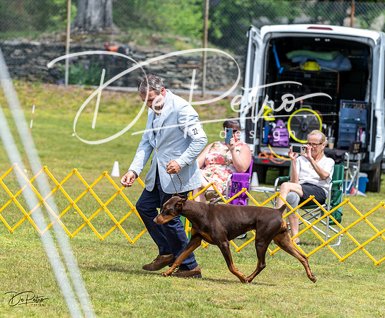 20230513-DSC08308