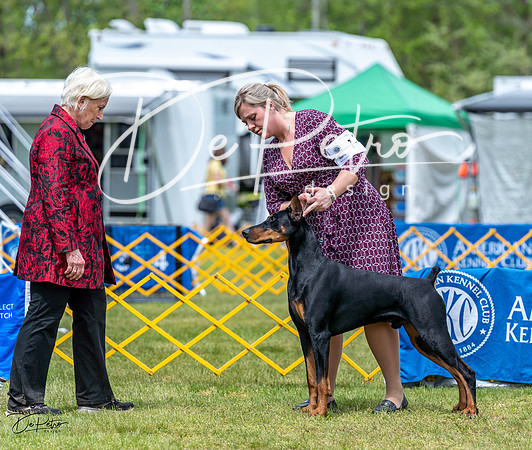 20230513-DSC08131
