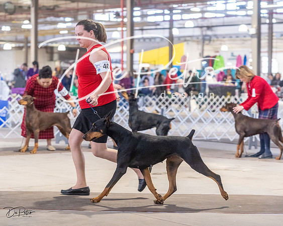 20230401-DSC06739