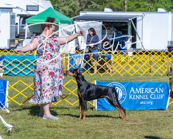 20230514-DSC02654