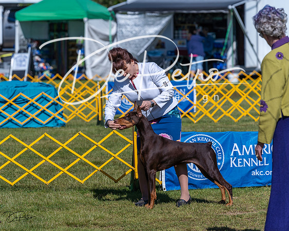 20230514-DSC02720