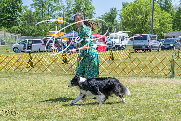 20230514-DSC04977