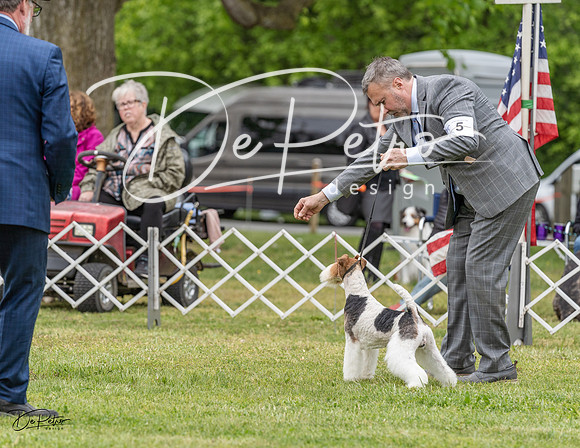 20230427-DSC07426
