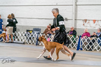 20261022-DSC00101