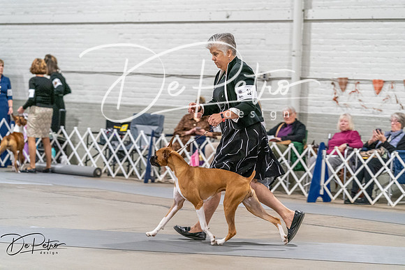 20261022-DSC00101