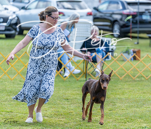 20230513-DSC09020