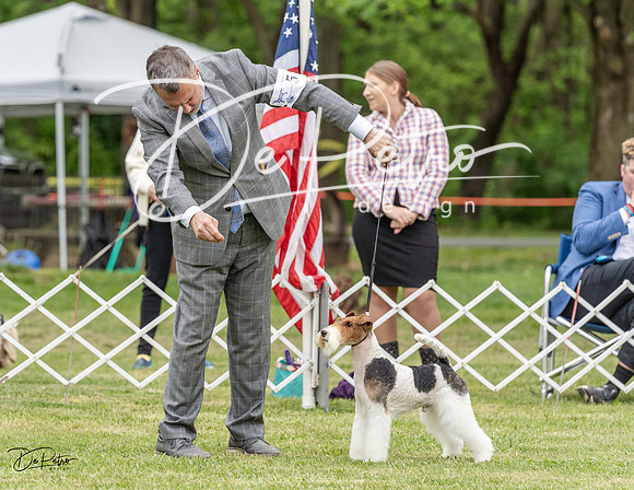 20230427-DSC07500