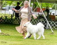 20230427-DSC03072
