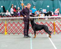 20261017-DSC08493
