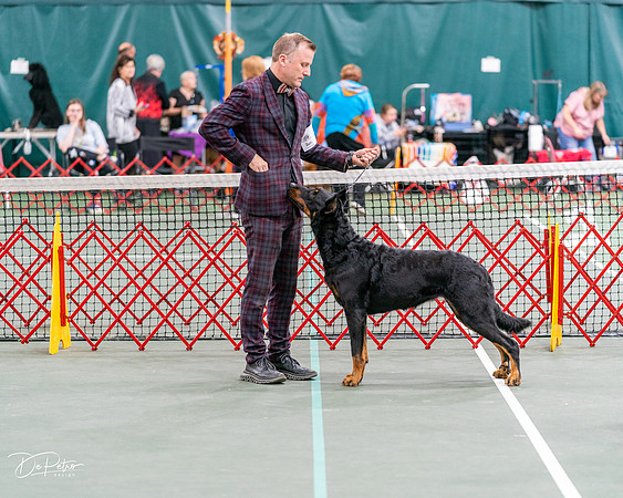 20261017-DSC08493
