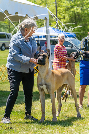 20230514-DSC07994