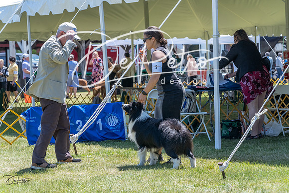 20230514-DSC04909